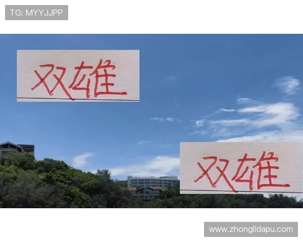 尊龙软件下载：最新版本功能更新与使用技巧分享