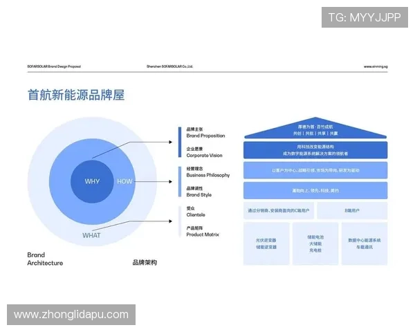 尊龙集团的发展历程与目标愿景的全面解析