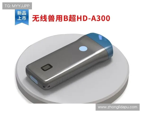 尊龙凯时电子游戏平台全面解析最新游戏玩法与安全保障措施，助你轻松赢取丰厚奖励