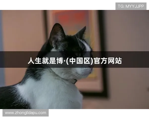 尊龙人生就是博一下：如何在游戏中体验人生的精彩与挑战