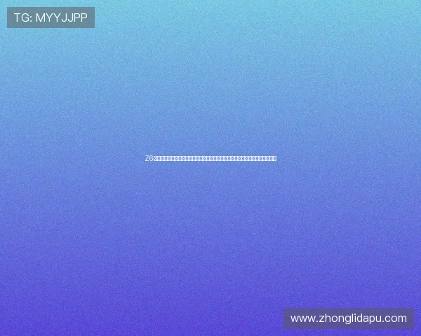 Z6尊龙正规网址如何保障玩家资金安全,详细介绍平台的安全措施与风险控制策略 Z6尊龙正规网址如何保障玩家资金安全,详细介绍平台的安全措施与风险控制策略
